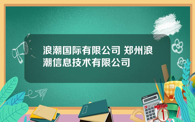 浪潮国际有限公司 郑州浪潮信息技术有限公司